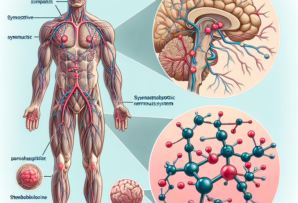 Cómo afecta Stenbolone al sistema nervioso autónomo