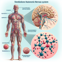 Cómo afecta Stenbolone al sistema nervioso autónomo